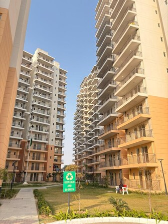 2 BHK Apartment For Rent in ROF Amaltas Sector 92 Gurgaon  8083211