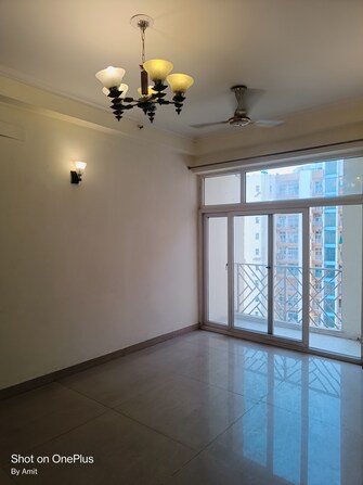 4 BHK Apartment For Resale in Amrapali Eden Park Sector 50 Noida  8083376