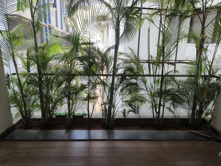 Balcony, banjara hills 3 Bedroom 3000 Sq.Ft. Apartment In Banjara Hills Hyderabad 8083375