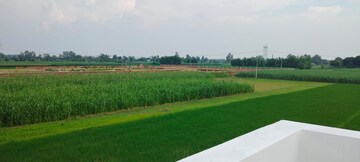  Plot For Sale in Tappal