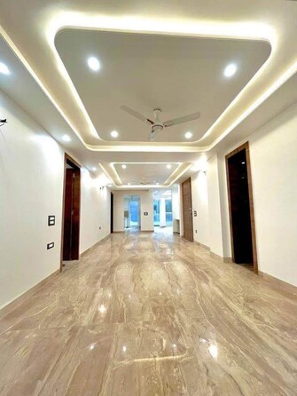 3 BHK Apartment For Rent in Cosmos Executive Sector 3 Gurgaon  8083458