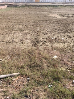 Plot For Sale in Shri Radha Kunj