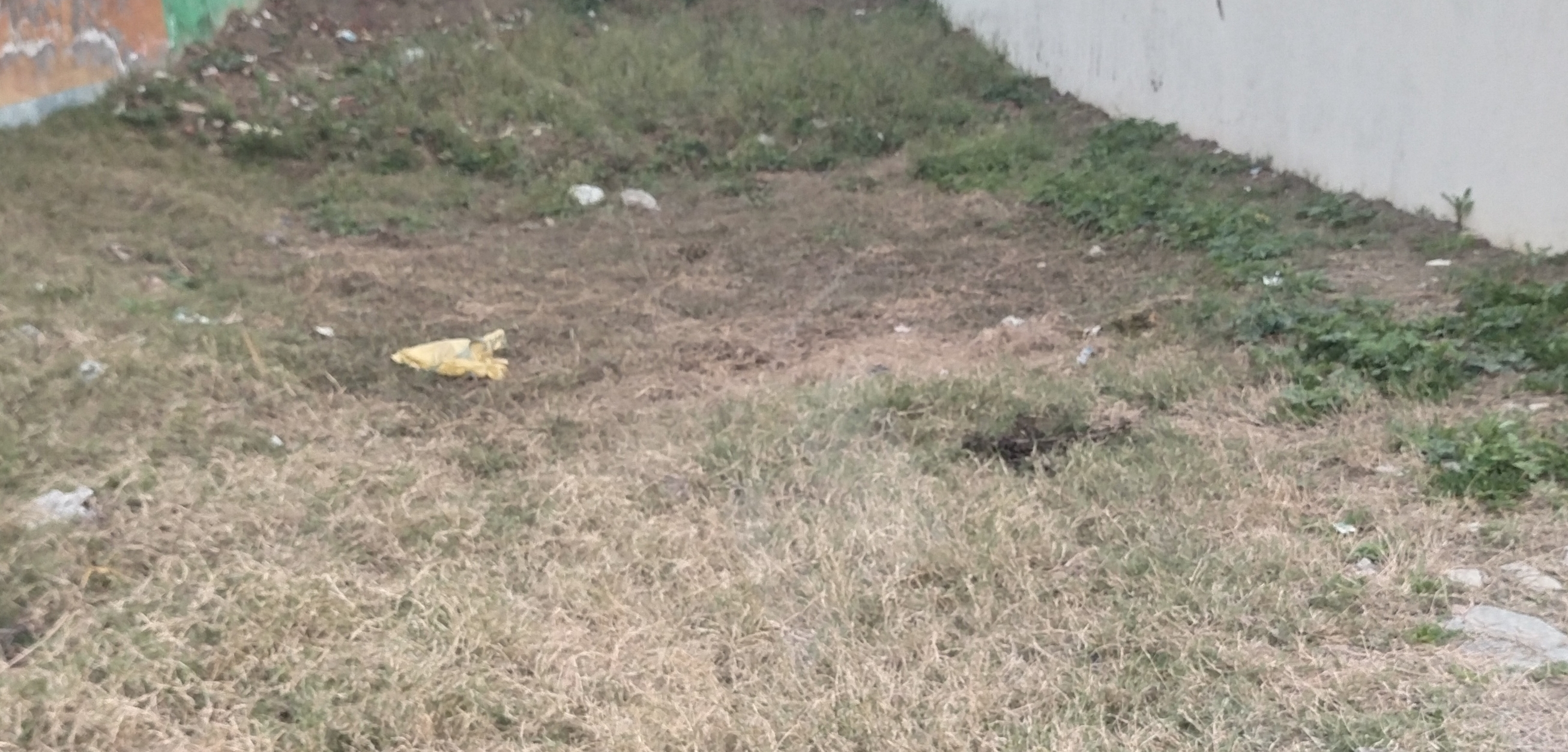 Plot For Sale in Shree Shyam Property 