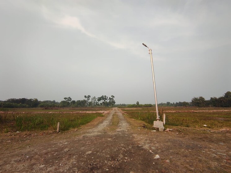 undefined, joka  1440 Sq.Ft. Plot In Joka Kolkata 8083601