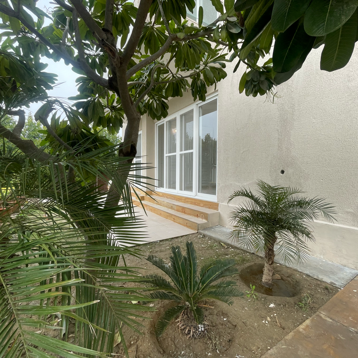 3 BHK + Servant Room,Extra Room Builder Floor For Sale in BPTP Amstoria