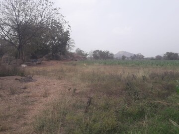 Plot Area in  Land at Paidi Pally – for Sale