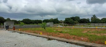 Plot For Resale in Medchal Hyderabad  8083999