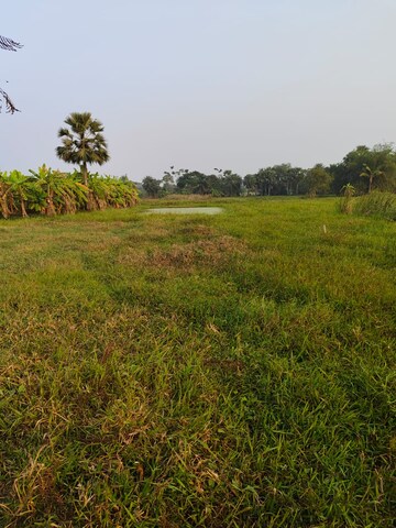 Plot Area in  Plot at Madhyamgram – for Sale