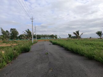 Plot For Resale in Narasapura Kolar  8084504