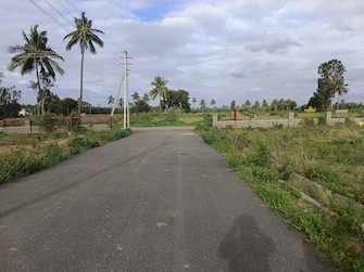 Plot For Resale in Narasapura Kolar  8084504