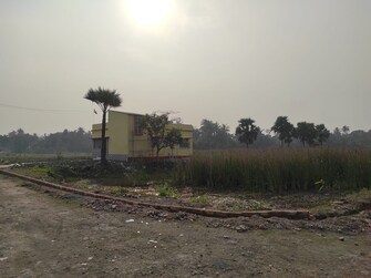 Plot For Resale in Kabardanga Kolkata  8084577