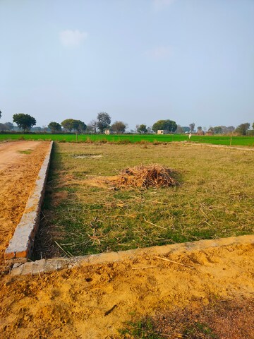 Plot Area in  Plot at Ram Nagar – for Sale