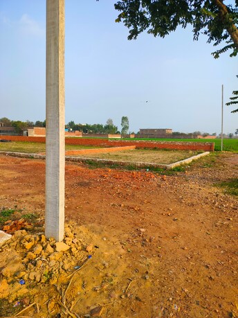 Plot For Resale in Barhana Jhajjar  8084788