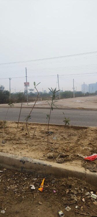 Plot For Resale in BPTP Parkland Plots Sector 89 Faridabad  8084785