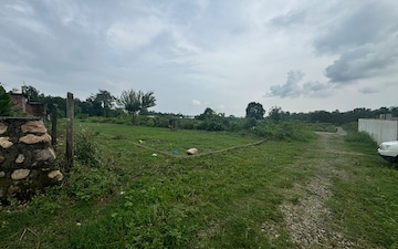 Plot For Sale in Badripur