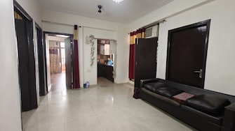 2 BHK Apartment For Rent in Windsor Paradise 2 Raj Nagar Extension Ghaziabad  8085134