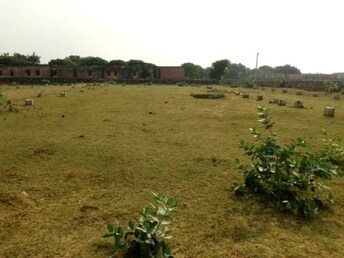 Plot For Resale in Chaksu Jaipur  8085208