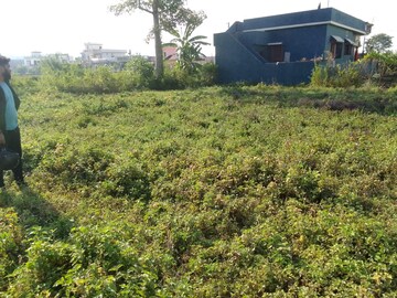 Plot Area in  Plot at Lakkhi Bagh – for Sale