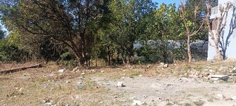 Plot For Resale in Salan Gaon Dehradun  8085375