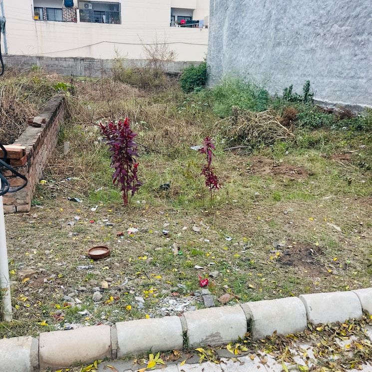 undefined, kharar road  150 Sq.Yd. Plot In Kharar Road Mohali 8085392