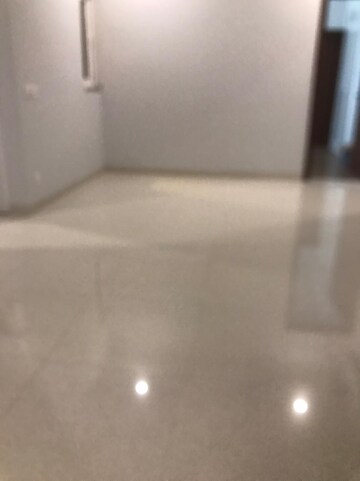 3 BHK Apartment For Sale in Tulip Violet, Sector 69