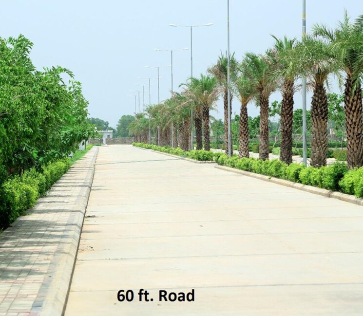 Garden, gaur-aerocity  1011 Sq.Yd. Plot In Gaur Yamuna City Greater Noida 8085528