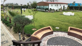 Plot For Resale in Gaur Aerocity Gaur Yamuna City Greater Noida  8085528