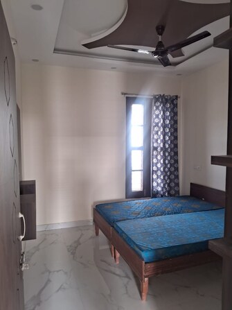 3 BHK Builder Floor For Rent in Gillco Valley Mohali Sector 127 Chandigarh  8085879