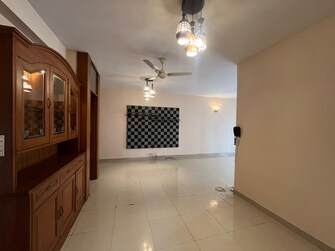 3 BHK Apartment For Rent in Puravankara Purva Vantage Hsr Layout Bangalore  8085903