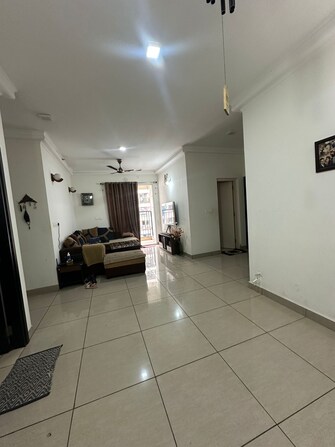 3 BHK Apartment For Rent in Nagarjuna Green Ridge Hsr Layout Bangalore  8086005