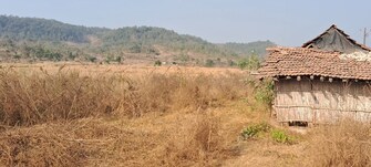 Plot For Resale in Blossom Plot Murbad Karjat Road Thane  8086132