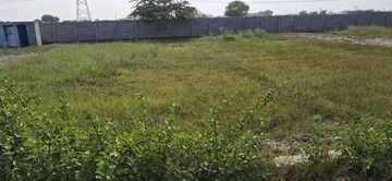 Plot Area in  Plot at Jewar – for Sale