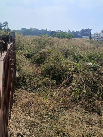 Commercial Land 2 Acre For Resale in Bannerghatta Road Bangalore  8086798