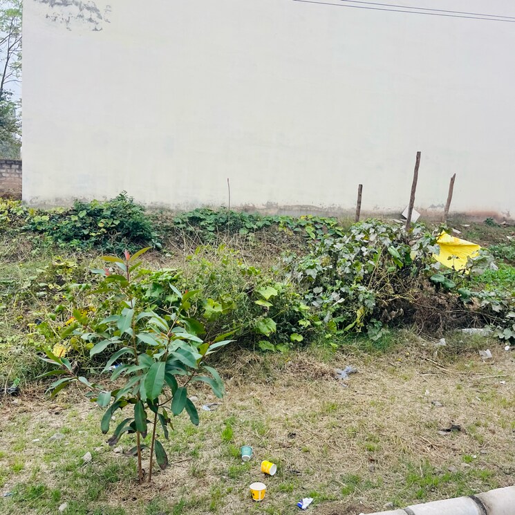 Exterior View, kharar road  150 Sq.Yd. Plot In Kharar Road Mohali 8086845