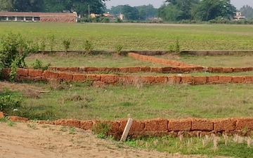 Plot For Sale in Sikandrabad