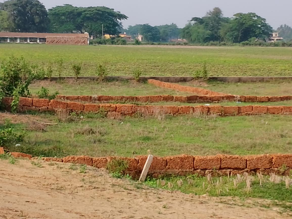 Plot For Sale in Shiv Colony Kailash Hospi