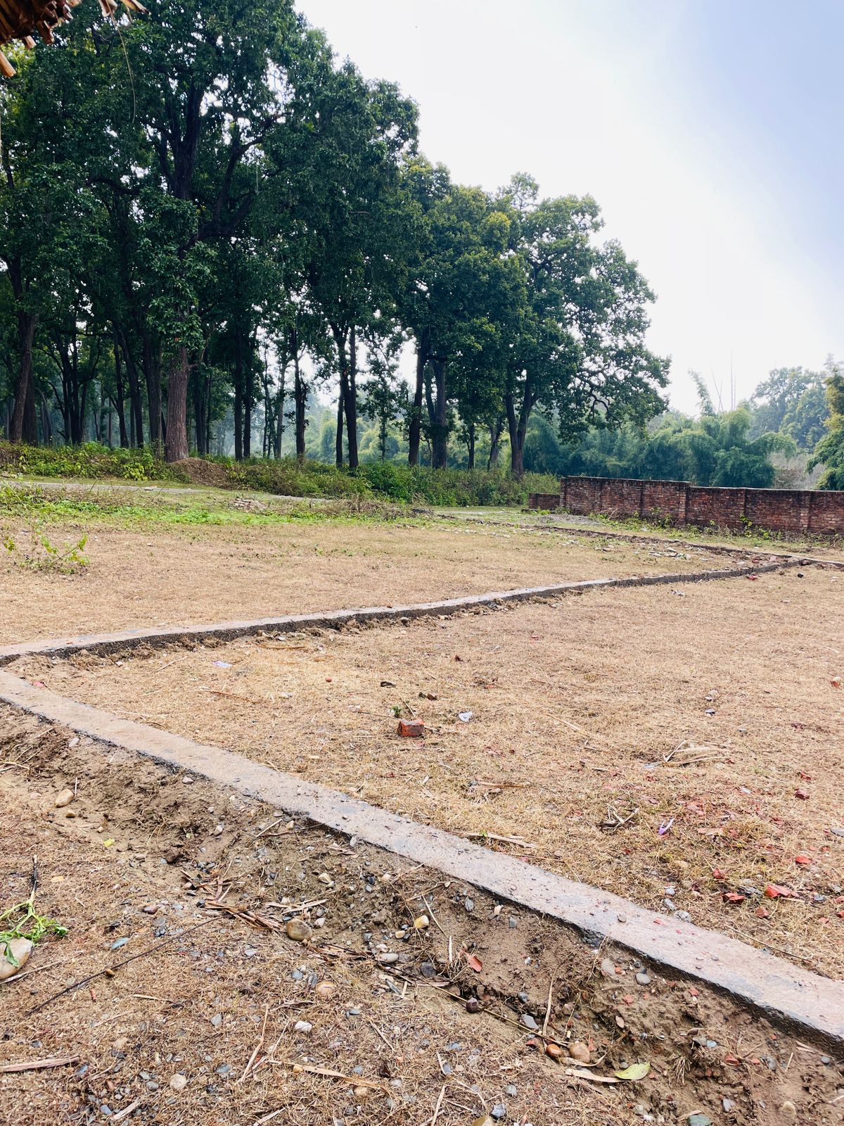 Plot For Sale in Badowala