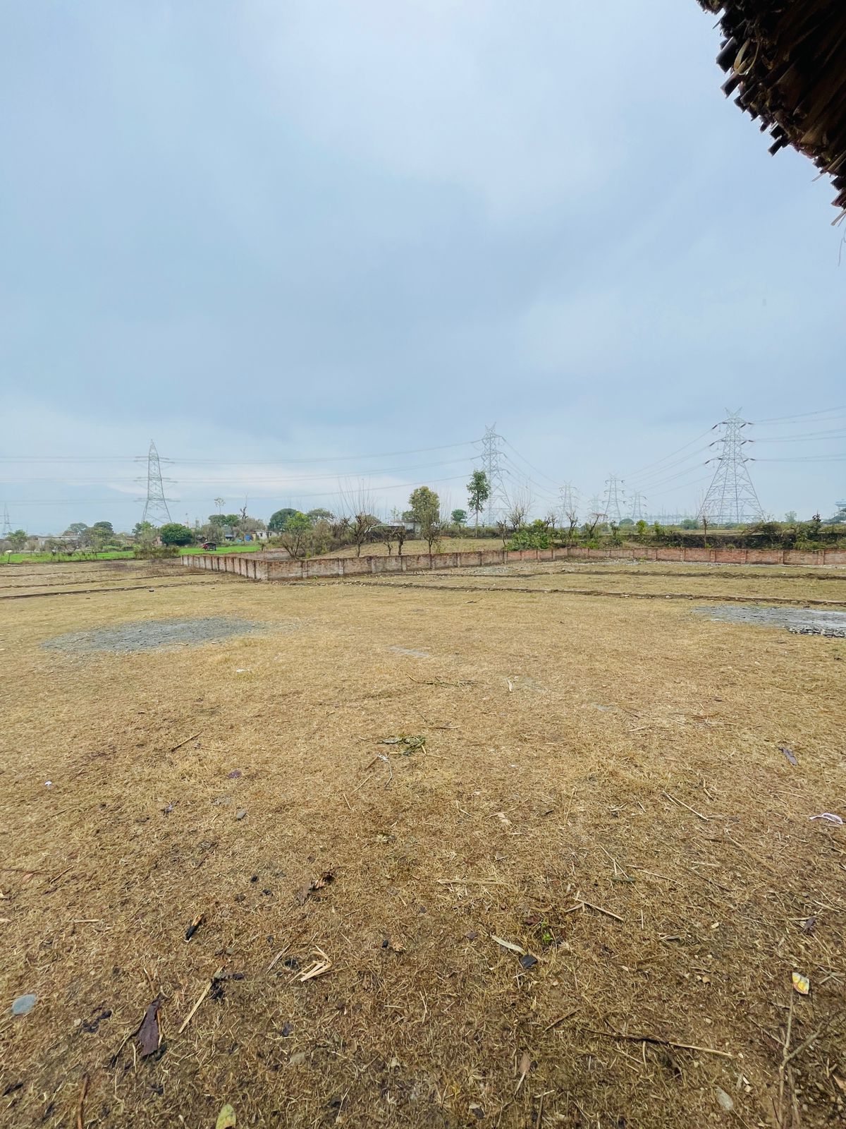 Plot For Sale in Badowala