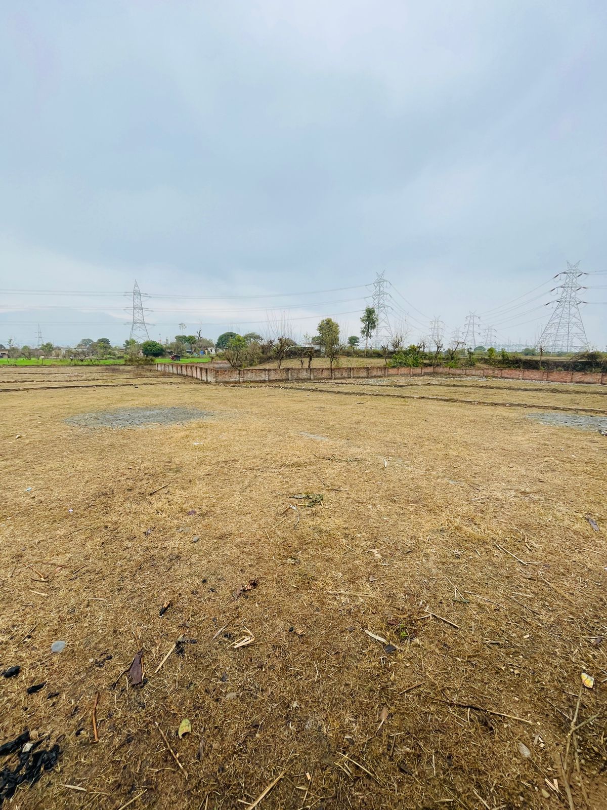 Plot For Sale in Badowala