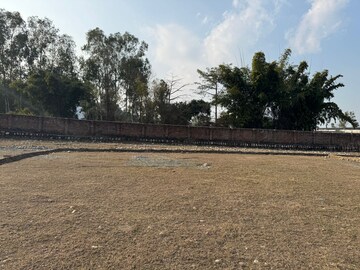  Plot For Sale in Badowala
