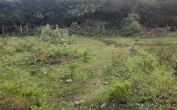Plot For Sale in Rajapulova