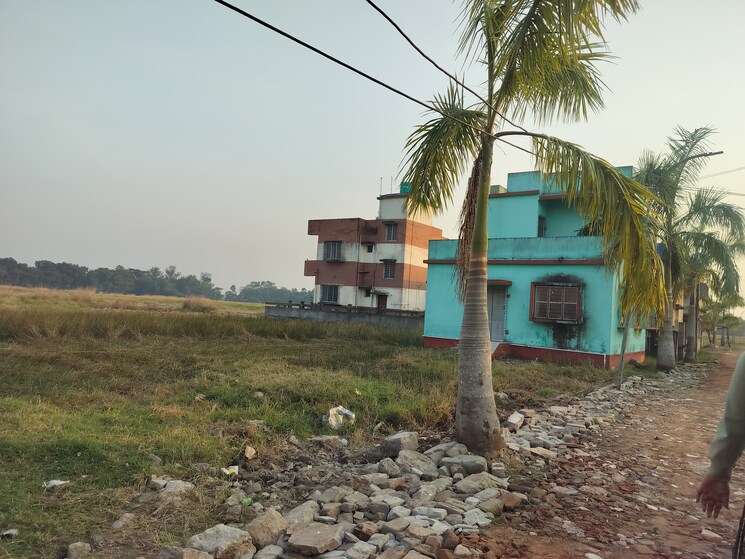 Exterior View, fresco-palm-city  1800 Sq.Ft. Plot In Joka Kolkata 8091281