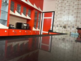 4 BHK Penthouse For Rent in Bodakdev Ahmedabad  8091422