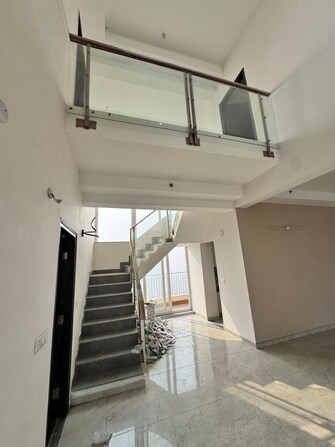 3.5 BHK Penthouse For Rent in BPTP Discovery Park Sector 80 Faridabad  8091502