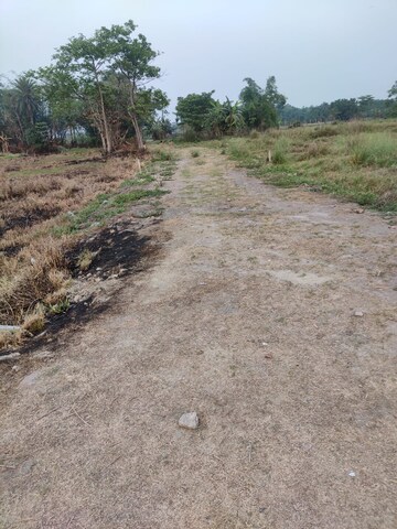 Plot Area in  Plot at Joka – for Sale