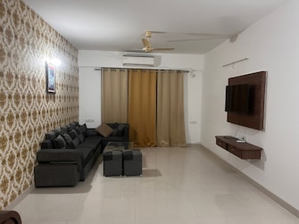 4 BHK Apartment For Rent in Ab Road Indore  8091531