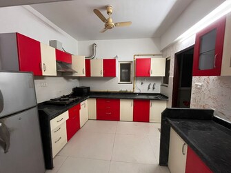 4 BHK Apartment For Rent in Ab Road Indore  8091531