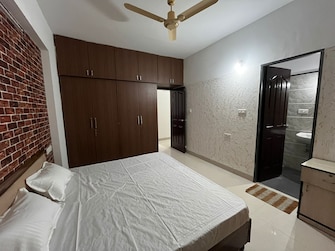 4 BHK Apartment For Rent in Ab Road Indore  8091531