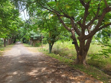 Plot Area in  Plot at Kothanur – for Sale