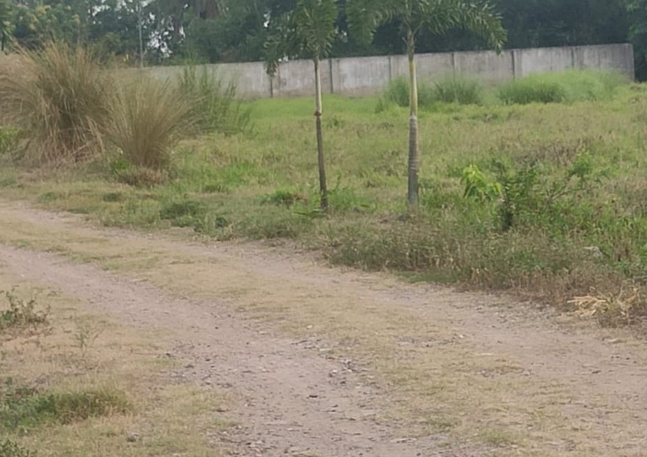 Plot For Sale in Green Plaza 